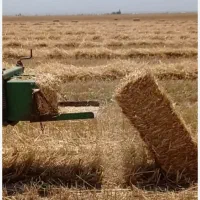 پرس گندم جاده شهر بلقیس....جوشقان