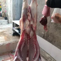 ازمزرعه‌تاسرسفره‌گوسفند‌زنده‌باقصاب‌بشرط