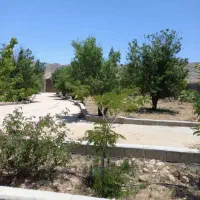 فروش-باغ-سیاخ-دارنگون-فاز2