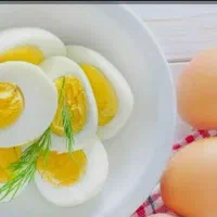 زرده،سفیده،مخلوط تخم مرغ