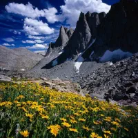 طبیعت گردی