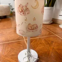 لوستر و آباژور طلقی و چاپی