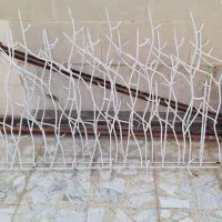 دزدگیرشاخ گوزنی