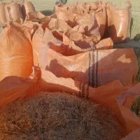 فروش کاه گندم تحویل و یا سر زمین به صورت عمده