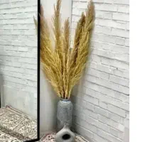 سماور نو