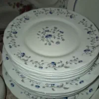 سرویس آرکوپال اصل