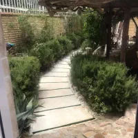 زمین-در-گردخون-شیراز