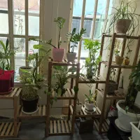 استند گل و گیاه