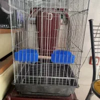 3عدد قفس مخصوص طوطی و قناری و...