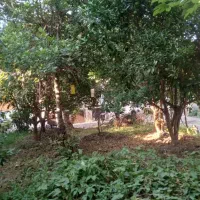 ویلایی دلباز در لنگرود