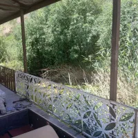 ۶۴۳۰متر  سند تک برگ