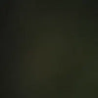 09125907885