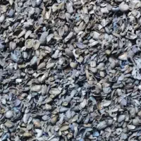 درآمد آسان تا 120 میلیون با تولید مواد اولیه زغال