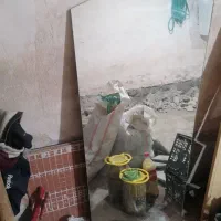 اینه سالم سالم