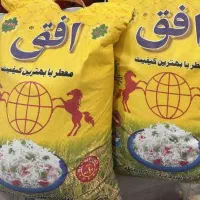 برنج افق