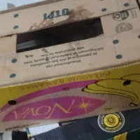 کارتن موزی فروشی