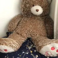 خرس عروسکی بلند