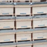 کندو زنبور عسل