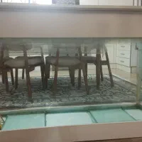 آکواریوم شیشه خم
