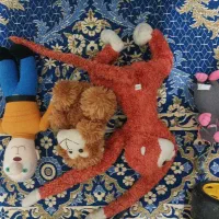 عروسک و اسباب بازی