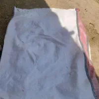 شلیف کاه