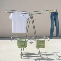 بندرخت