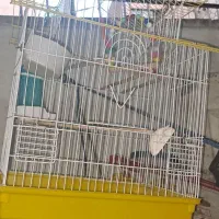 قفس بزرگ کاسکو