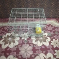 قفس پرنده
