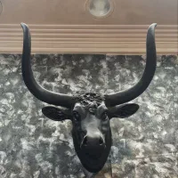 دیوارکوب کله گاو