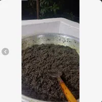 سبزی قرمه سرخ شده