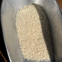 نیم دانه هاشمی