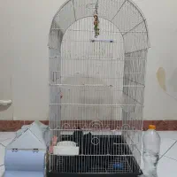 قفس پرنده با وسایل