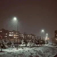 زمین-207متری-نبش-طبیعت-دوکله