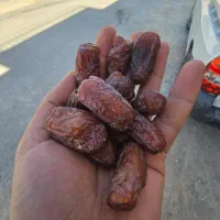 خرما پیارم حاجی آباد