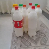 دوغ تلمی گاوی به شرط تست