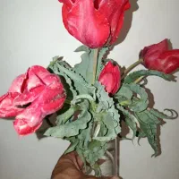 کاشت داشت برداشت  با اره برقی شارژی