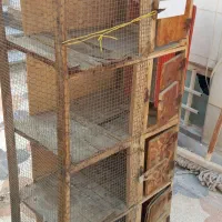 قفس جفت کن کبوتر