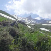 مشارکت در ساخت