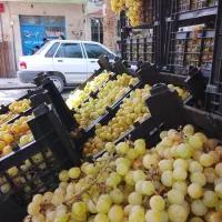 انگور لعل شاهرود