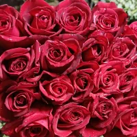 به یک کارگر  ساده براگلخانه خیار نیاز مند