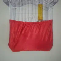 قفس