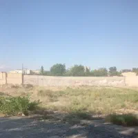 فروش زمین در وحیدیه