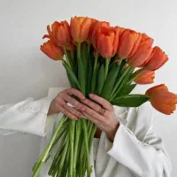 ادمین غیرحضوری هستم نیاز ب کار دارم