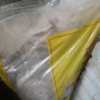 یک‌گونی نان خشک ۲۵۰ تومان