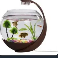 اکواریوم