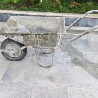 فرغون