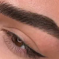 میکرو ابرو شیدلب  (۵۰ درصد آف  تا پایان مرداد)