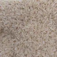 برنج هاشمی محلی.