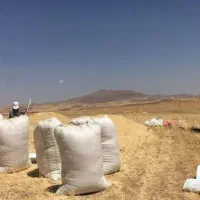 کیسه یا گونی کاه