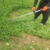 بچ یونجه چین اول دیواندره